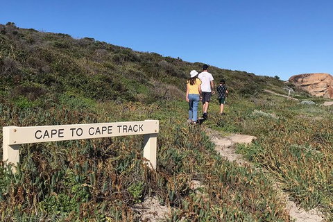 Cape To Cape Track Hike And Winery Tour - St Kilda Accommodation 4