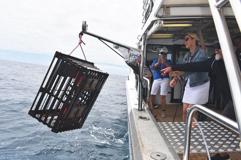 Rottnest Island Wild Seafood Package From Perth With Transfer - St Kilda Accommodation 0