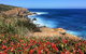 Cape To Cape End-to-End 8 Day Walking Experience - thumb 0