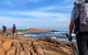 Cape To Cape End-to-End 8 Day Walking Experience - thumb 1