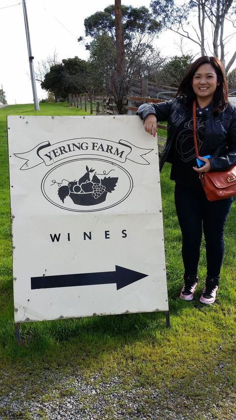 Yarra Valley Wine And Winery Tour From Melbourne - St Kilda Accommodation 18