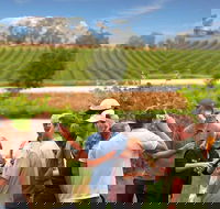 Yarra Valley Wine and Winery Tour from Melbourne - St Kilda Accommodation