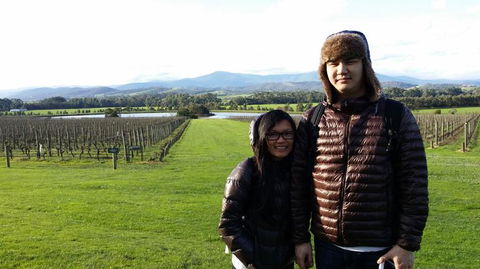 Yarra Valley Wine And Winery Tour From Melbourne - St Kilda Accommodation 14