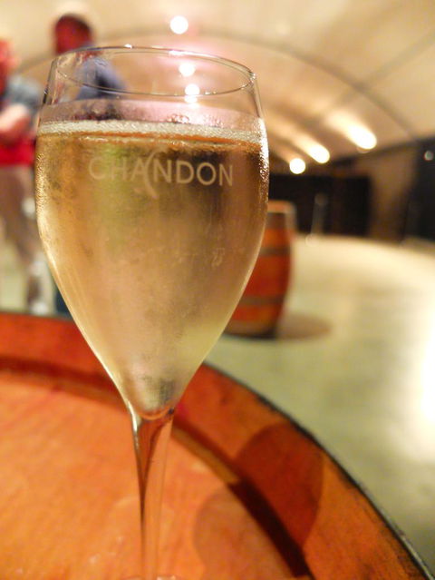 Yarra Valley Wine And Winery Tour From Melbourne - St Kilda Accommodation 25