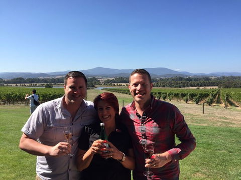 Yarra Valley Wine And Winery Tour From Melbourne - St Kilda Accommodation 12