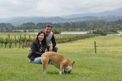 Yarra Valley Wine And Winery Tour From Melbourne - St Kilda Accommodation 6