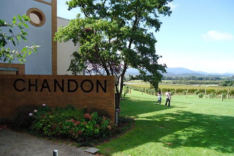 Yarra Valley Wine And Winery Tour From Melbourne - St Kilda Accommodation 29