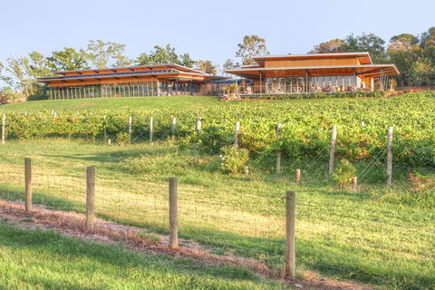 Yarra Valley Wine And Winery Tour From Melbourne - St Kilda Accommodation 31