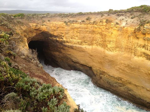 Private Tour: Great Ocean Road From Melbourne - St Kilda Accommodation 3