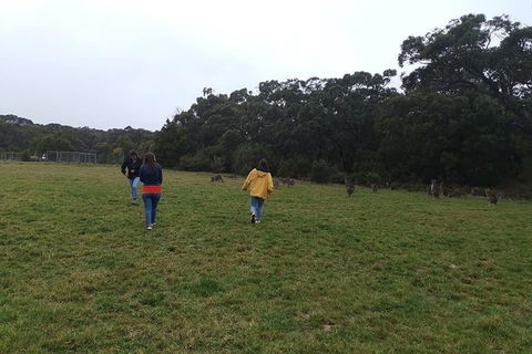 Private Tour: Great Ocean Road From Melbourne - St Kilda Accommodation 17