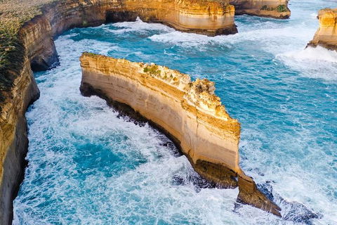 Small-Group Great Ocean Road Day Trip From Melbourne - St Kilda Accommodation 1