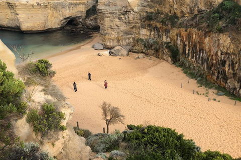 Great Ocean Road Private Tour - St Kilda Accommodation 1