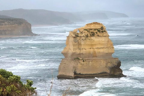 Great Ocean Road Private Tour - St Kilda Accommodation 4