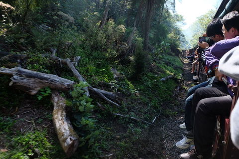 Puffing Billy Steam Train & Healesville Wildlife Sanctuary Tour From Melbourne - St Kilda Accommodation 5