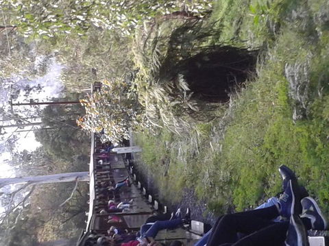 Puffing Billy Steam Train & Healesville Wildlife Sanctuary Tour From Melbourne - St Kilda Accommodation 7