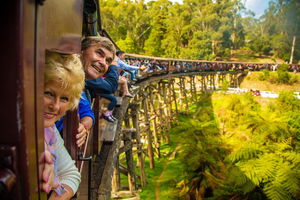 Puffing Billy Steam Train & Healesville Wildlife Sanctuary Tour From Melbourne