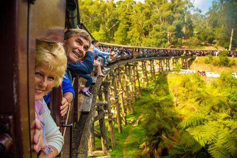 Puffing Billy Steam Train & Healesville Wildlife Sanctuary Tour From Melbourne - St Kilda Accommodation 0