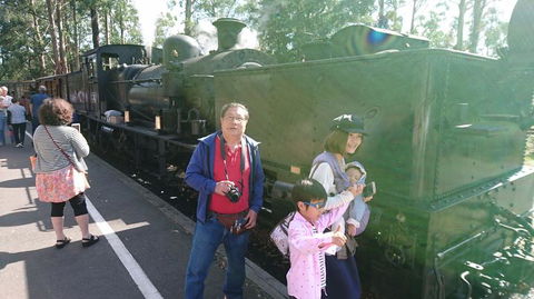 Puffing Billy Steam Train & Healesville Wildlife Sanctuary Tour From Melbourne - St Kilda Accommodation 4