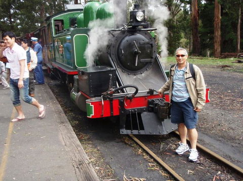 Puffing Billy Steam Train & Healesville Wildlife Sanctuary Tour From Melbourne - St Kilda Accommodation 12