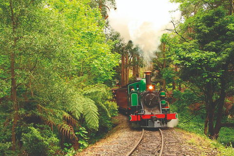 Puffing Billy Steam Train & Healesville Wildlife Sanctuary Tour From Melbourne - St Kilda Accommodation 19