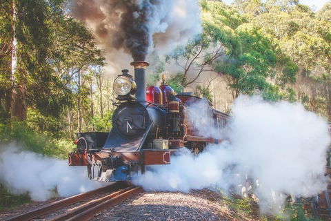 Puffing Billy Steam Train & Healesville Wildlife Sanctuary Tour From Melbourne - St Kilda Accommodation 13