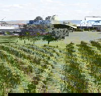 Puffing Billy Train and Yarra Valley Food and Wine Day Trip from Melbourne - St Kilda Accommodation