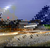 Small-Group Phillip Island Day Trip from Melbourne with Penguin Plus Viewing - St Kilda Accommodation