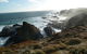 Phillip Island Penguin Parade Evening Tour - thumb 2