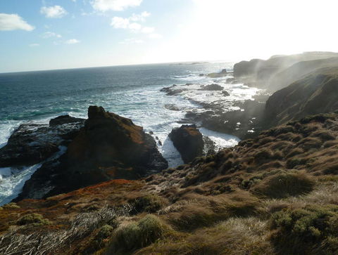 Phillip Island Penguin Parade Evening Tour - St Kilda Accommodation 2
