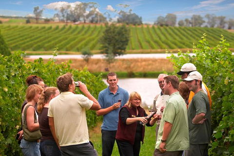 Yarra Valley Balloon Flight And Winery Tour - St Kilda Accommodation 17