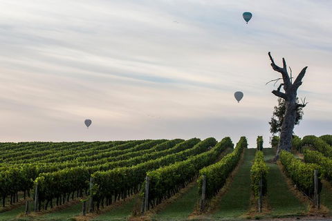 Yarra Valley Balloon Flight And Winery Tour - St Kilda Accommodation 19