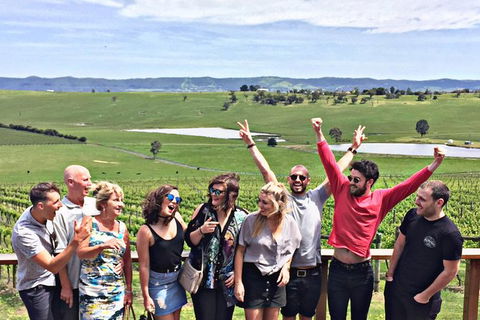 Alternative Yarra Valley Wine Tasting Tour Departing From Melbourne - St Kilda Accommodation 0