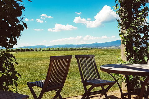 Alternative Yarra Valley Wine Tasting Tour Departing From Melbourne - St Kilda Accommodation 11