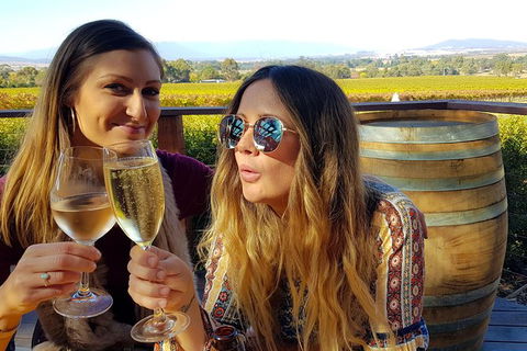 Alternative Yarra Valley Wine Tasting Tour Departing From Melbourne - St Kilda Accommodation 5