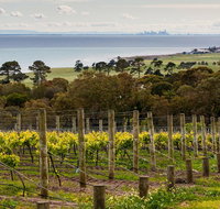 Bellarine Peninsula Small Group Wine Tour with 2 Course Lunch and Morning Tea - St Kilda Accommodation