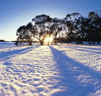 Private Lake Mountain Snow Tour from Melbourne - St Kilda Accommodation