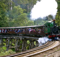 Private Dandenong Ranges Tour including Puffing Billy - St Kilda Accommodation
