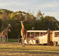Sunset Safari at Werribee Open Range Zoo - St Kilda Accommodation
