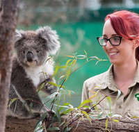 2-Day Phillip Island and Wilsons Promontory Tour from Melbourne - St Kilda Accommodation