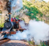 Puffing Billy and Mount Dandenong Private Tour - St Kilda Accommodation