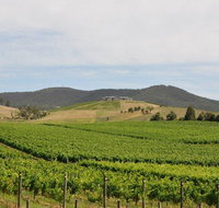 Private Tour to Mount Dandenong and Yarra Valley - St Kilda Accommodation
