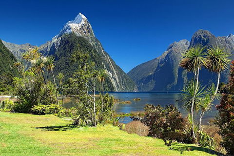 Aroha Tangata Australia And New Zealand 20 Day - St Kilda Accommodation 1