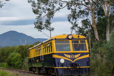 Steam Train, Yarra Valley & Healesville Wildlife Sanctuary Full Day Tour - St Kilda Accommodation 3
