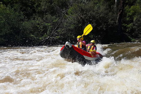 White-Water Kayaking On The Yarra River - St Kilda Accommodation 1