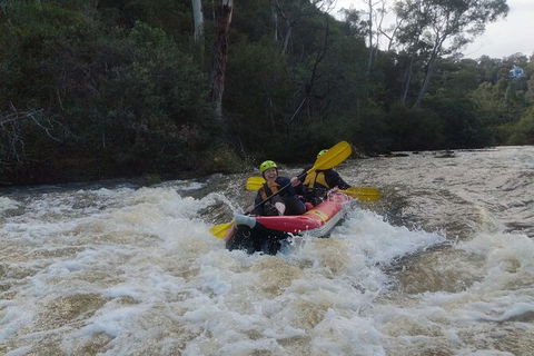 White-Water Kayaking On The Yarra River - St Kilda Accommodation 5