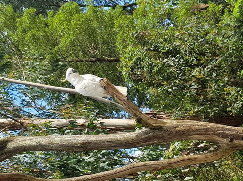 Yarra Valley Wineries And Puffing Billy Steam Train Tour From Melbourne - St Kilda Accommodation 10