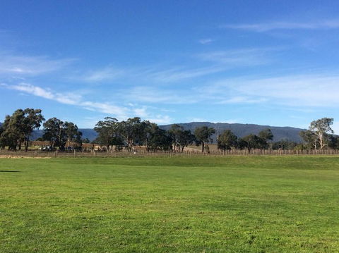 Yarra Valley Wineries And Puffing Billy Steam Train Tour From Melbourne - St Kilda Accommodation 17