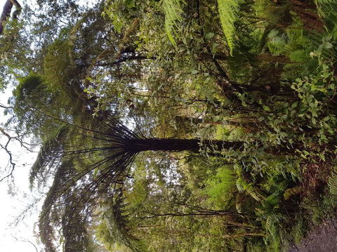 Yarra Valley Wineries And Puffing Billy Steam Train Tour From Melbourne - St Kilda Accommodation 7