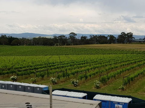 Yarra Valley Wineries And Puffing Billy Steam Train Tour From Melbourne - St Kilda Accommodation 4