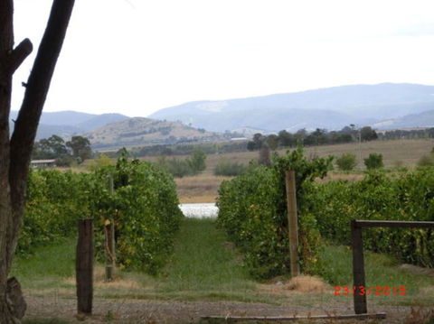 Yarra Valley Wineries And Puffing Billy Steam Train Tour From Melbourne - St Kilda Accommodation 25